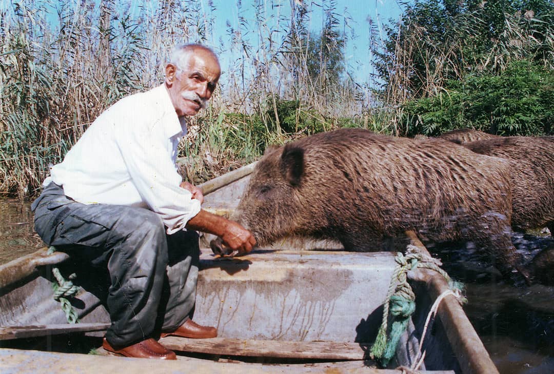 علی سبیل
